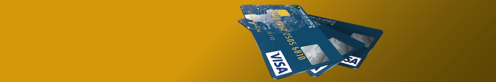Carte VISA Bleue 